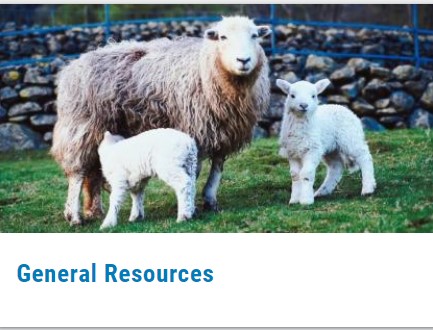 General Animal Resources