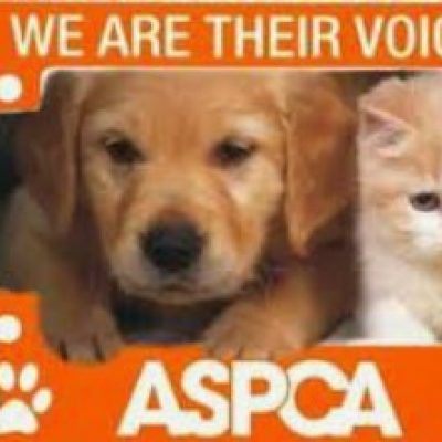 ASPCA Animal Rescue